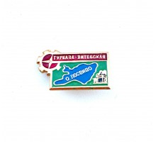 Значок "Турбаза Витебская Лосвидо"