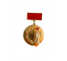 Значок "Почетный знак СКВВ"