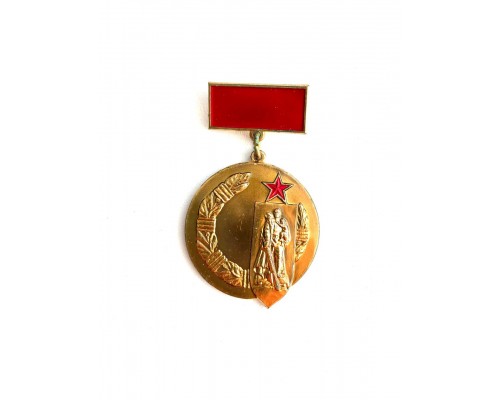 Значок "Почетный знак СКВВ"