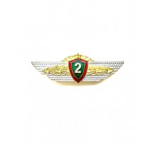 Знак "Офицерская классность ВС РБ 2 класс"