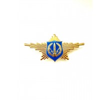 Нагрудный знак «Рота почетного караула РВСН»