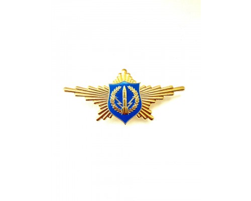 Нагрудный знак «Рота почетного караула РВСН»