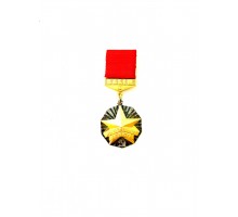 Знак ЦК ВЛКСМ «Молодой гвардеец пятилетки» 1-й степени (золотой)