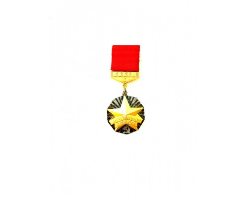 Знак ЦК ВЛКСМ «Молодой гвардеец пятилетки» 1-й степени (золотой)