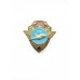 Знак "65 лет 206-й штурмовой авиационной базе"