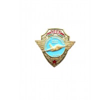 Знак "65 лет 206-й штурмовой авиационной базе"