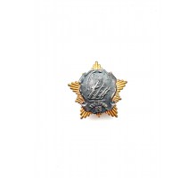 Знак "55 лет 115й зенитно-ракетной бригаде"