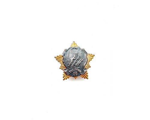 Знак "55 лет 115й зенитно-ракетной бригаде"