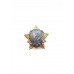 Знак "55 лет 115й зенитно-ракетной бригаде"