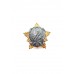 Знак "55 лет 115й зенитно-ракетной бригаде"