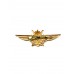 Знак "Классность ВВС. Летчик-штурман 1 класс"