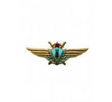 Знак "Классность ВВС. Летчик-штурман 1 класс"