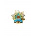 Знак "Ветеран ВВС"
