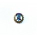 Знак добровольного спортивного общества УССР "Авангард"