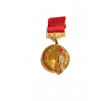Значок "Потчетный знак СКВВ"