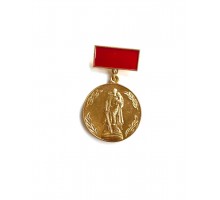 Значок "Юбилейный знак ХХХ СКВВ"
