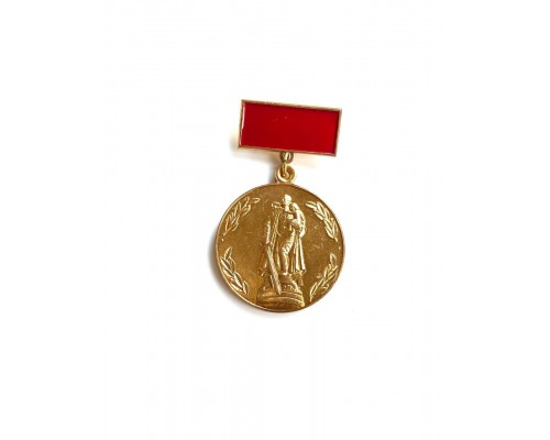 Значок "Юбилейный знак ХХХ СКВВ"