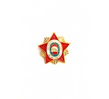 Значок "Активист ЮД ПД"