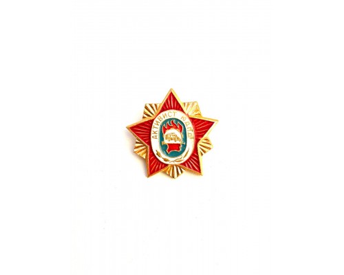 Значок "Активист ЮД ПД"