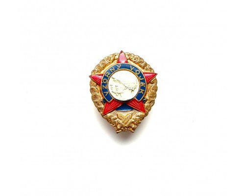 Знак "ЧССР Отличный солдат"