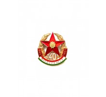 Знак 40 лет победы Венгрия