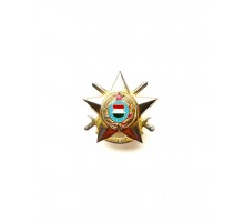 Знак «Вооружённые силы Венгрии». Тяжелый