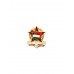 Знак KISZ. Молодежь за социализм 5 класс. Венгрия 1961-1970 гг.