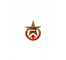 Знак Наградной комсомольской организации ВНР За социалистическое Отечество, 1-я ступень