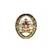 Знак отличия офицера тыла Вооруженных сил