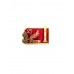 Знак "25 лет РВСН"