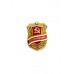 Знак "Дружинник"