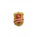 Знак "Дружинник"