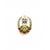 Нагрудный знак "50 САБ 1980"