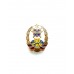 Нагрудный знак "50 САБ 1980"
