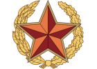 Знаки Вооруженных сил (103)