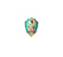 Знак "Военно-патриотический клуб "Дозор"