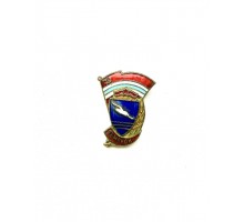 Знак "ДСО Буревестник. Чемпион"