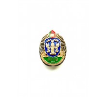 Знак "Минская группа пограничных войск"