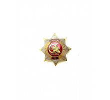 Знак "75 лет командно-инженерному институту МЧС РБ"