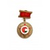 Знак "Южная группа войск СССР 1956-1991"