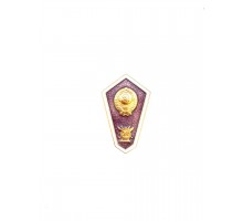 Знак выпускника музыкального училища