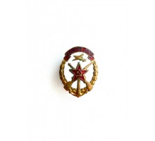 Знак "ДОСААФ СССР"