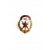 Знак "ДОСААФ СССР"