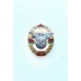 Знак "83 ЦРС ОсН"