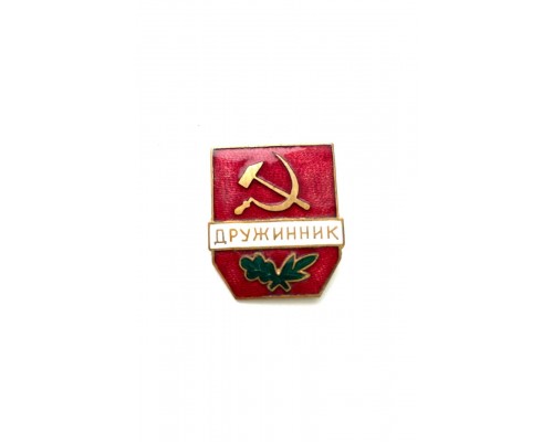 Знак "Дружинник"