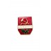 Знак "Дружинник"