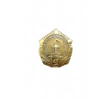 Знак "45 лет Военной академии Республики Беларусь"