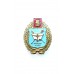 Знак "Выпускник Московской областной общеобразовательной школы-интерната с первоначальной летной подготовкой имени трижды Героя Советского союза А.И.Покрышкина"