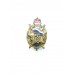 Знак "Выпускник Военного института физической культуры"