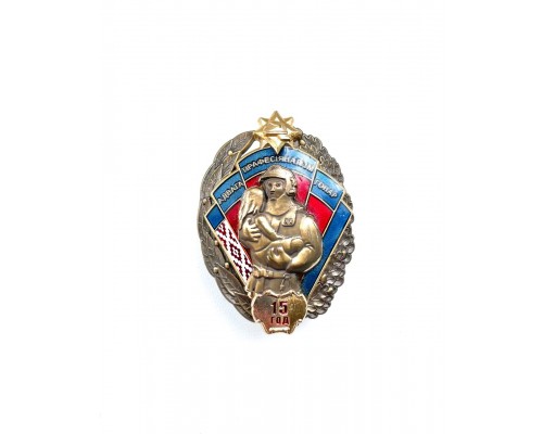 Знак "15 лет органам и подразделениям, подчиненным МЧС Республики Беларусь" (1999 - 2014)
